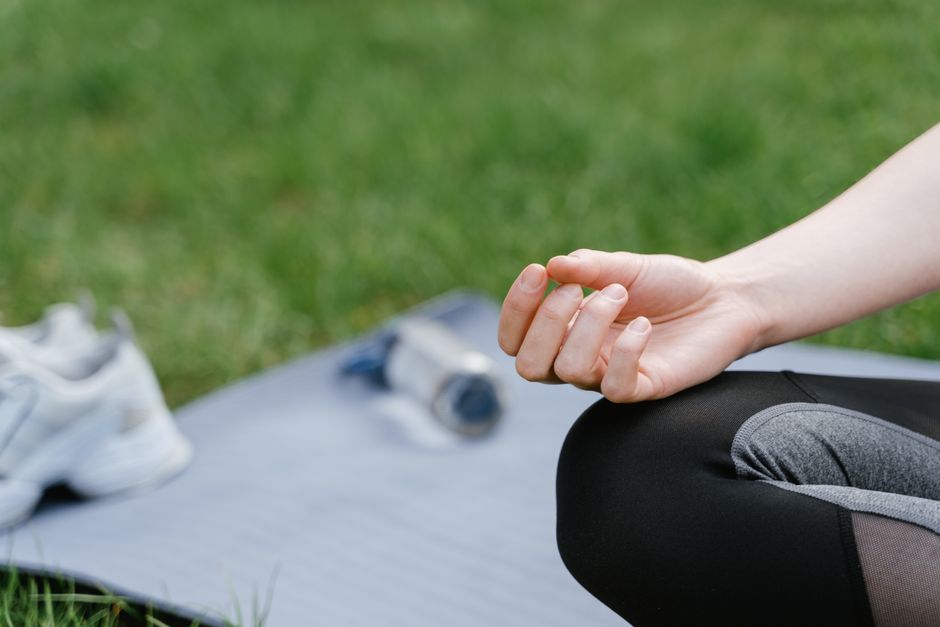 Boosting Mental Clarity with Forest Bathing: A Science-Based Approach