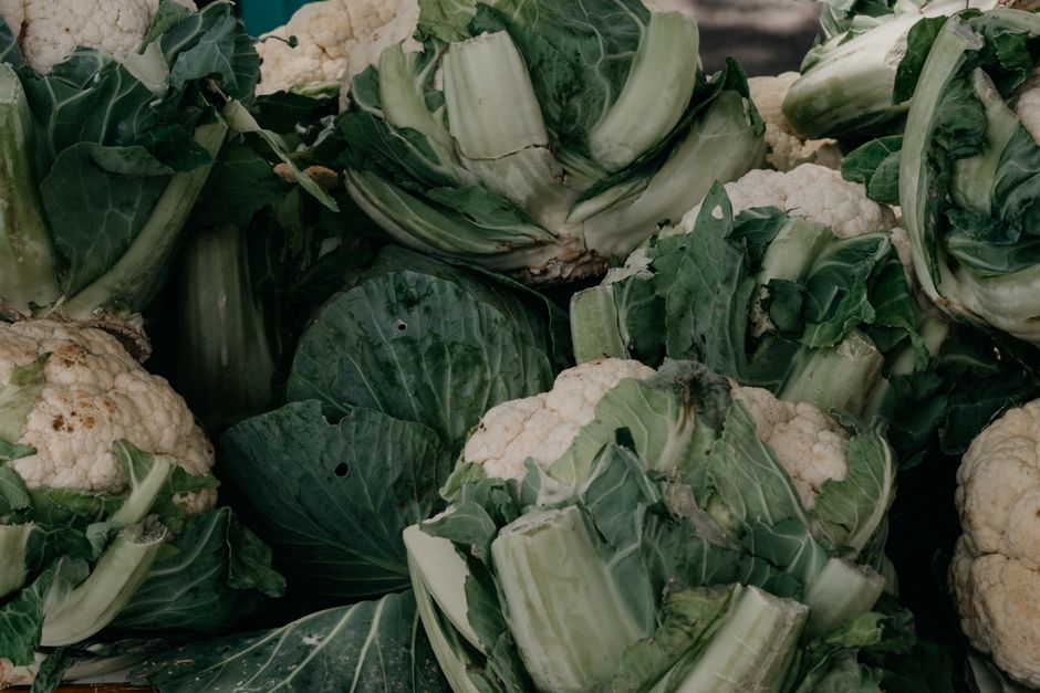 Gut Friendly Fiber Sources: A Guide to Diversifying Your Intake