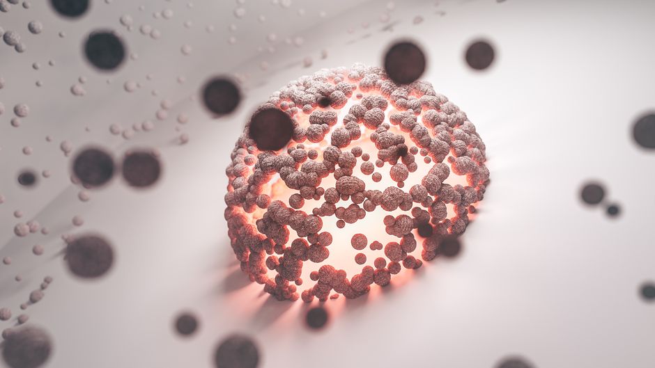 Cyclical Dieting for Cellular Regeneration: Evidence and Practice