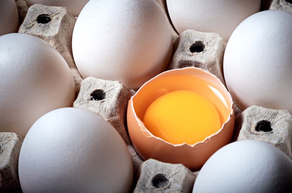 Protein Distribution for Weight Management
